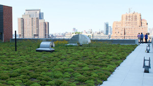 Green Roof at Fiterman Hall
