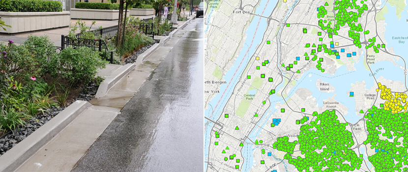 image of rain gardens and map of green infrastructure in NYC