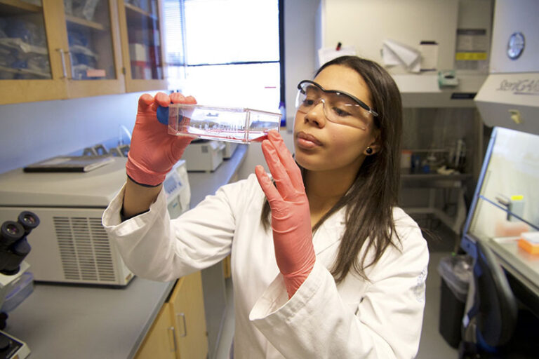 CUNY STARS Program – BMCC